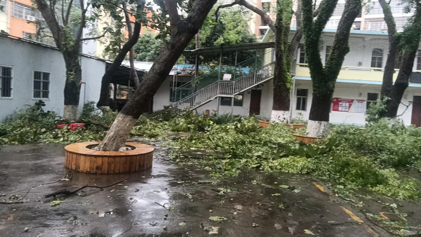 欧乐影院
教职工返校清理校园 做好灾后恢复工作