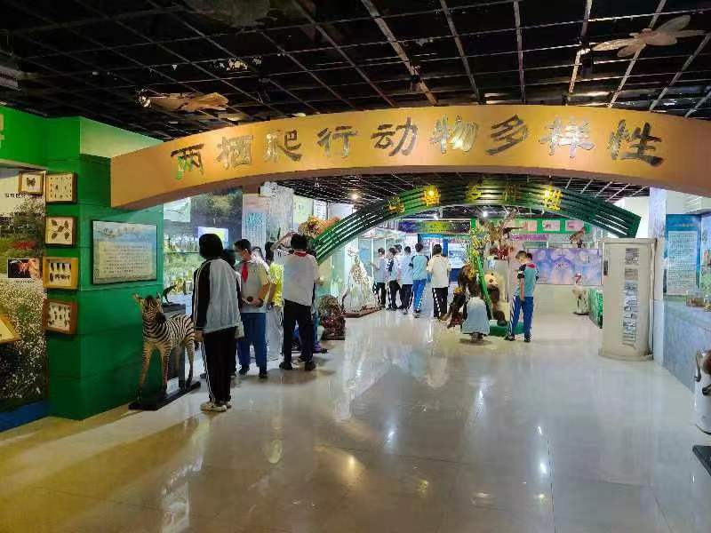 欧乐影院
组织学生参观海南生物多样性博物馆
