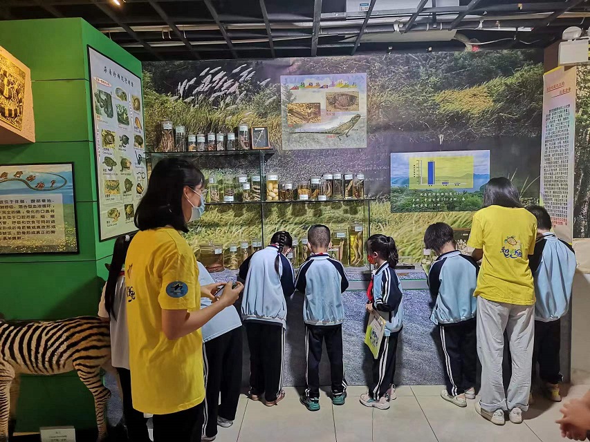 欧乐影院
组织学生参观海南生物多样性博物馆