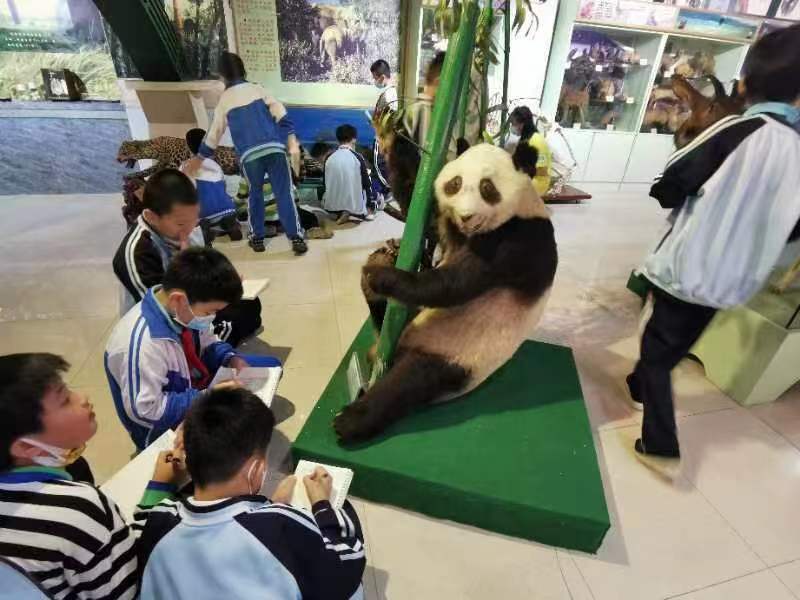 欧乐影院
组织学生参观海南生物多样性博物馆