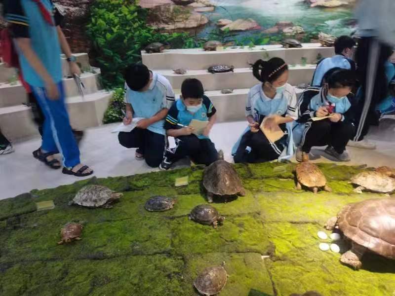 欧乐影院
组织学生参观海南生物多样性博物馆
