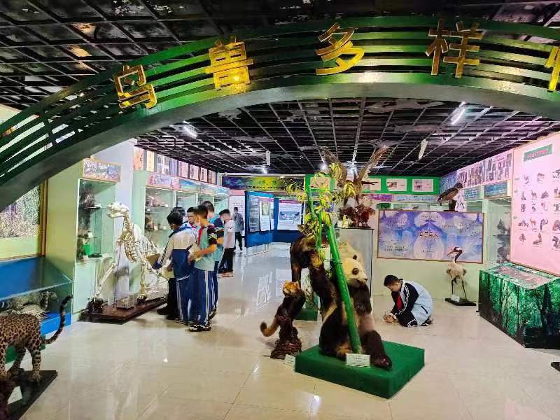 欧乐影院
组织学生参观海南生物多样性博物馆