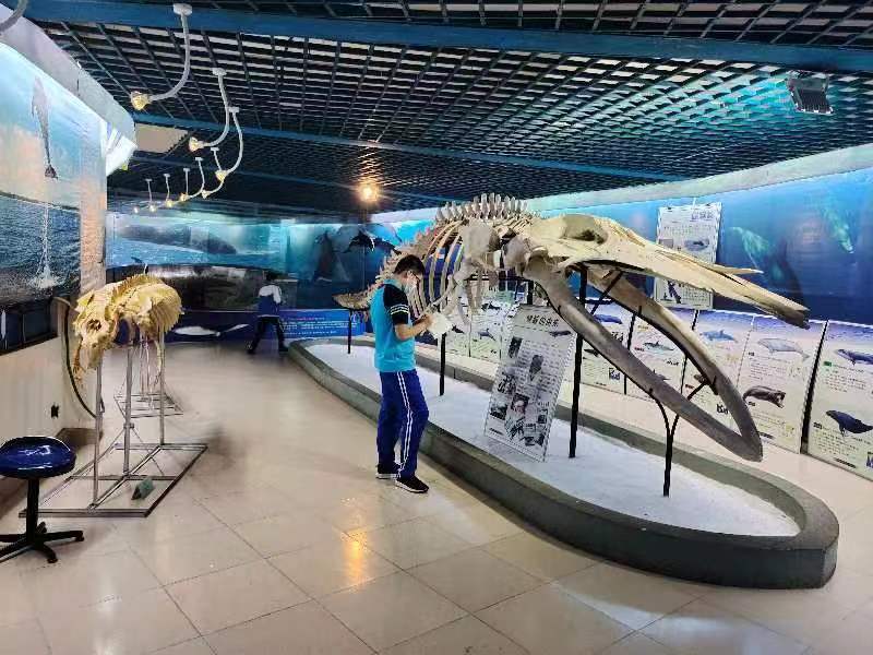 欧乐影院
组织学生参观海南生物多样性博物馆