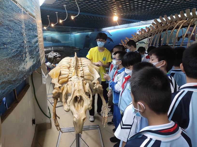 欧乐影院
组织学生参观海南生物多样性博物馆