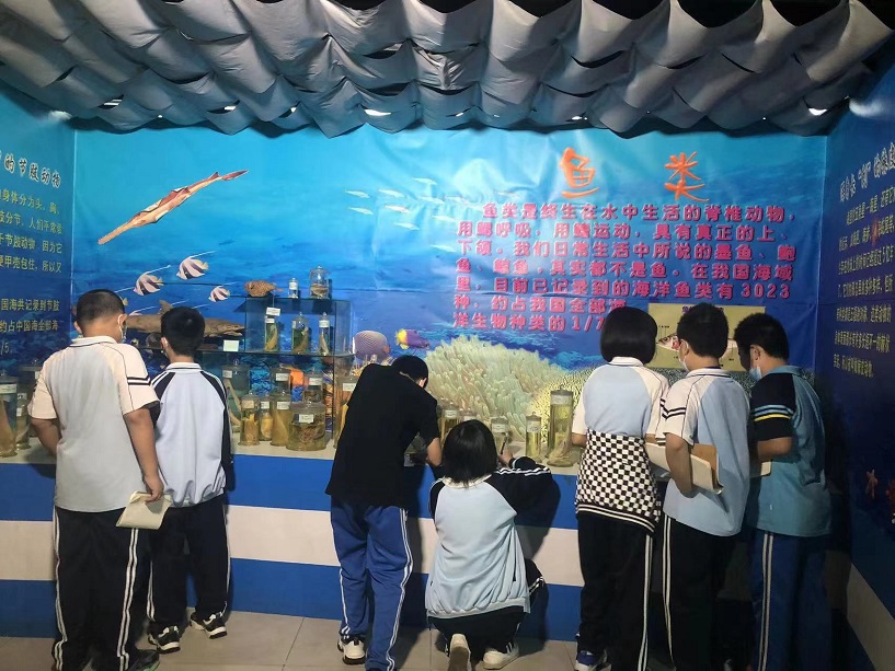欧乐影院
组织学生参观海南生物多样性博物馆
