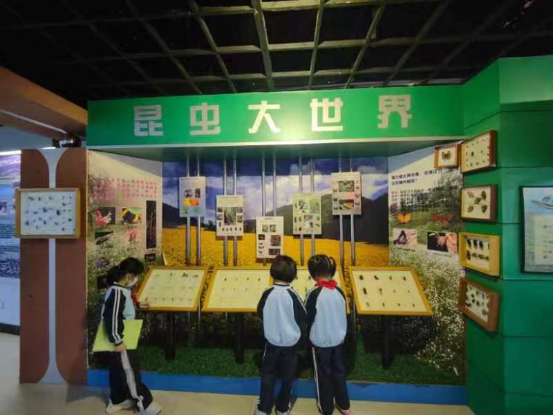 欧乐影院
组织学生参观海南生物多样性博物馆